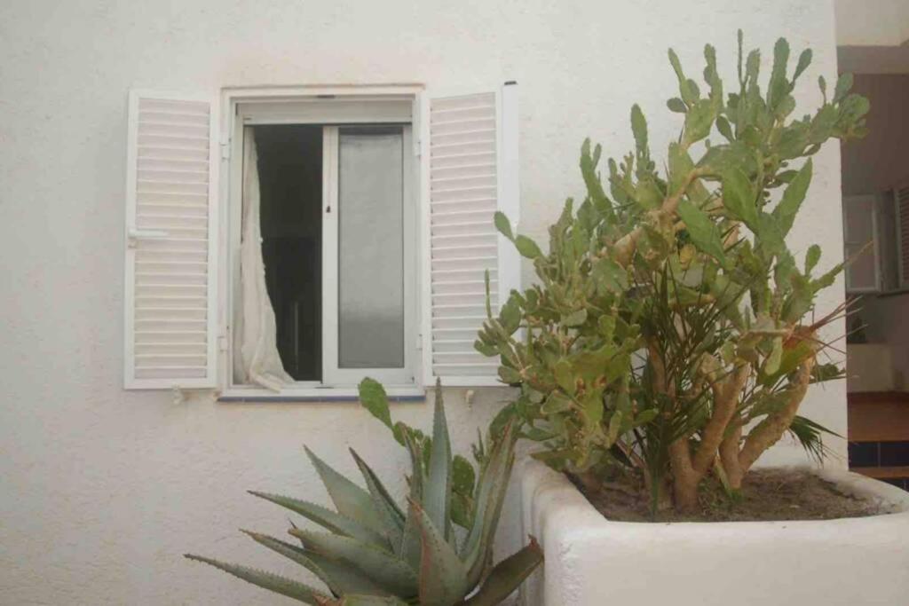 Apartamento A 2 Minutos Andando A La Playa. La Isleta del Moro Εξωτερικό φωτογραφία
