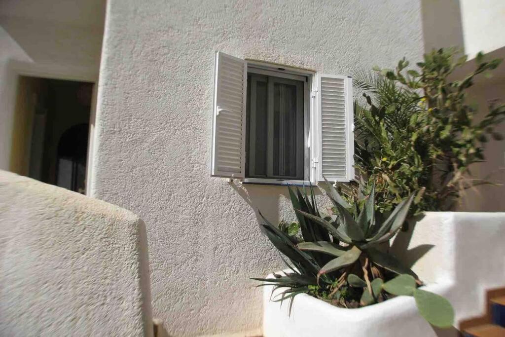 Apartamento A 2 Minutos Andando A La Playa. La Isleta del Moro Εξωτερικό φωτογραφία